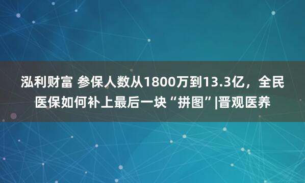泓利财富 参保人数从1800万到13.3亿，全民医保如何补上最后一块“拼图”|晋观医养