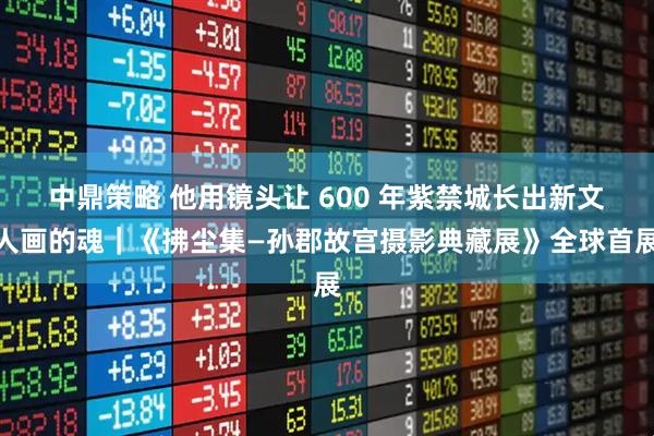 中鼎策略 他用镜头让 600 年紫禁城长出新文人画的魂｜《拂尘集—孙郡故宫摄影典藏展》全球首展