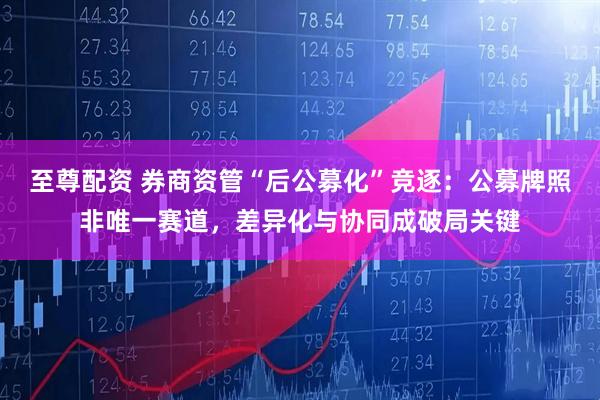 至尊配资 券商资管“后公募化”竞逐：公募牌照非唯一赛道，差异化与协同成破局关键
