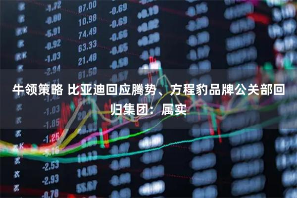 牛领策略 比亚迪回应腾势、方程豹品牌公关部回归集团：属实