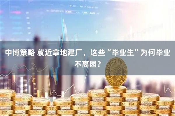 中博策略 就近拿地建厂，这些“毕业生”为何毕业不离园？