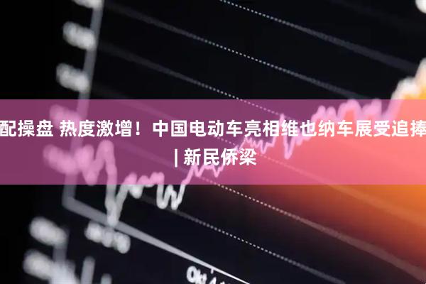 配操盘 热度激增！中国电动车亮相维也纳车展受追捧 | 新民侨梁