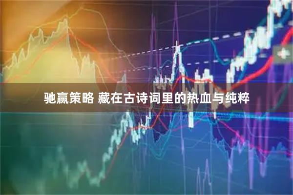 驰赢策略 藏在古诗词里的热血与纯粹