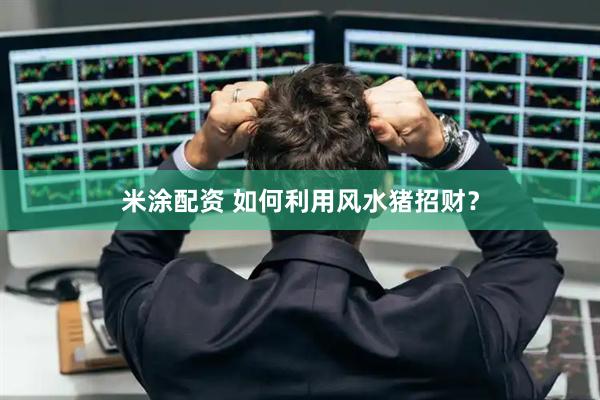 米涂配资 如何利用风水猪招财？
