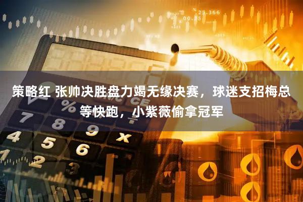策略红 张帅决胜盘力竭无缘决赛，球迷支招梅总等快跑，小紫薇偷拿冠军