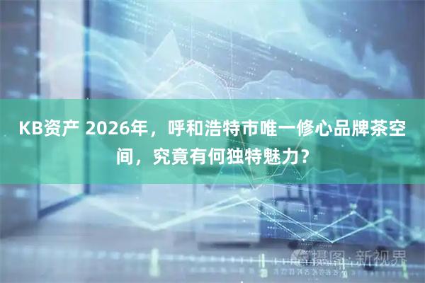 KB资产 2026年，呼和浩特市唯一修心品牌茶空间，究竟有何独特魅力？